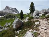 Rifugio Bai de Dones - Averau